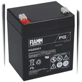 Fiamm FG20451 Pb 12V 4500 mAh 1 St.