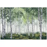 WallArena Fototapete Birkenwald in Grün | Gr.: 150 x 105 cm