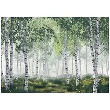 WallArena Fototapete Birkenwald in Grün | Gr.: 150 x 105 cm