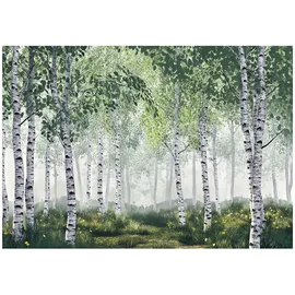 WallArena Fototapete Birkenwald in Grün | Gr.: 150 x 105 cm
