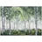 WallArena Fototapete Birkenwald in Grün | Gr.: 150 x 105 cm