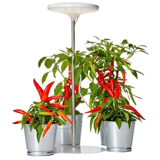 NORTHPOINT LED Pflanzenleuchte Pflanzenlicht Pflanzenlampe 14W mit Teleskopstab und Standfuß 4000K Lichtfarbe