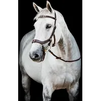 Horseware Micklem II Multi Bridle, Warmblut,