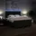 vidaXL Boxspringbett mit Matratze Schwarz 180x200 cm Stoff