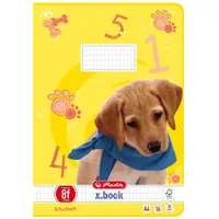 Herlitz Schulheft x.book Lineatur 8f rautiert DIN A4 16 Blatt, 1 St.