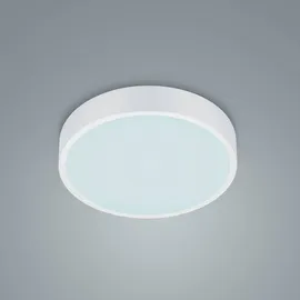 Trio Lighting LED Deckenleuchte Waco, in weiß matt extern dimmbar, flach, Ø 31cm