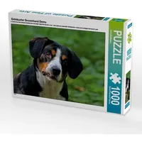 Calvendo Entlebucher Sennenhund Emma (Puzzle)