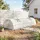 Outsunny Gewächshaus,, Weiß, Metall, Kunststoff, 80x45x200 cm, Gartenzubehör, Gewächshäuser
