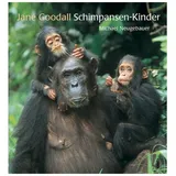 Minedition Schimpansen-Kinder