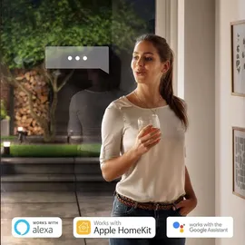 Philips Hue White and Color schwarz 1744130P7