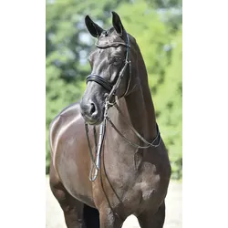 Busse Kandare MASSA