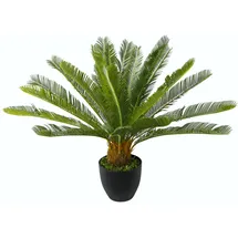 I.GE.A. Cycaspalme im Topf