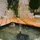 esotec Solar Pumpensystem 12/800
