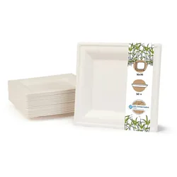 BIOZOYG 50 Stück Einwegteller quadratisch 16x16cm Bio Geschirr Zuckerrohr Teller stabil biologisch abbaubar kompostierbar Bagasse Einwegteller