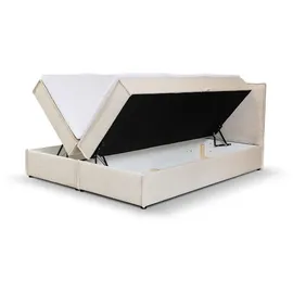 venasi Möbel Boxbett, Beige, Holzwerkstoff, H2 - Grau