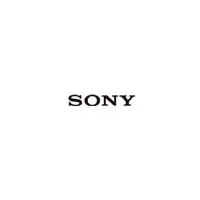 Sony Fernschulung - für TEOS - 2 Stunden, Fernbedienung