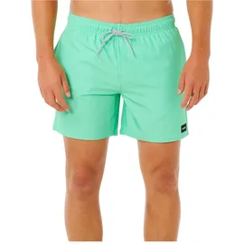 Rip Curl Offset Daily Volley Hosen Grün 2XL