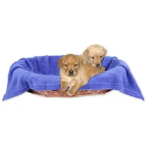 BestLivings Hundedecke 70 x 100 cm blau