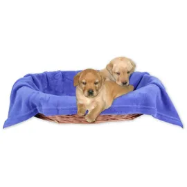 BestLivings Hundedecke 70 x 100 cm blau