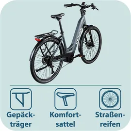 Tretwerk Amber 2023 28 Zoll RH 48 cm Damen dunkelgrau