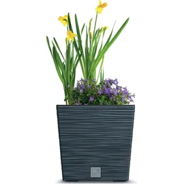 Prosperplast Furu Square 29,5 x 29,5 x 29 cm Anthrazit