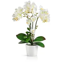 Kunstorchidee PASCH® Orchidee künstlich wie echt (46cm) in Hochglanz-Keramiktopf Orchidee, PASCH, Real Touch weiß
