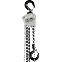 Wiltec - Kettenzug bis 500 kg, robuster Handkettenzug 3