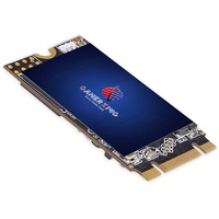 GamerKing SSD M.2 2242 256GB Ngff internes Solid State Drive Hochleistungs Festplatte für Desktop-Laptops SATA III 6 Gb/s Enthält SSD(256 GB, M.2 2242)