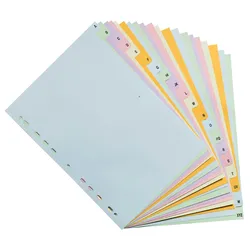 Exacompta 2621E 20x Register A4+, Recyclingkarton 170g, Pastellfarben, 20 Taben A-Z, Forever - Farben pastell sort.