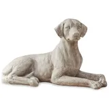 Loberon Hund Socrate - antikbeige