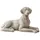 Loberon Hund Socrate - antikbeige