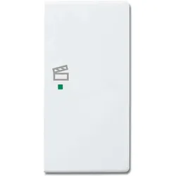 Busch-Jaeger Wippe 2-f re Symbol Szene 6233-22-84
