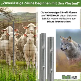 Trutzholm Z-profil Zaunpfosten 150 cm Feuerverzinkt 20x Zaunpfähle 1.5 mm Stärke gestan...