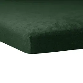 Traumschlaf Spannbettlaken Biber 120 x 200 - 130 x 200 cm grün