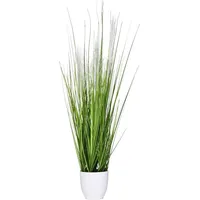 Vivanno Kunstpflanze Pampas 80 cm im weißen Topf