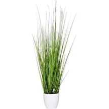 Vivanno Kunstpflanze Pampas 80 cm im weißen Topf