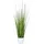 Vivanno Kunstpflanze Pampas 80 cm im weißen Topf