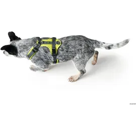 Hunter Maldon Hundegeschirr Limette/Grau M