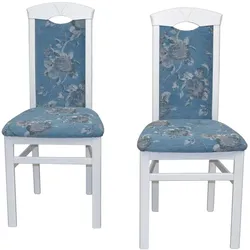 Stuhl Set Küche modern in Blau und Weiß Blumen Motiv (2er Set)