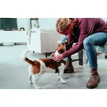 Hunter Hilo Comfort Hundegeschirr Braun XXS-XS
