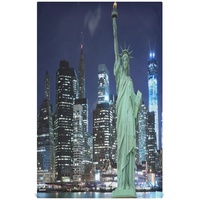 Mnsruu Manhattan Freiheitsstatue New York City Küchentücher Geschirrtuch Geschirrtuch Geschirrtuch Geschirrtuch Geschirrtücher Set von 4 super saugfähig weich 45,7 x 71,1 cm