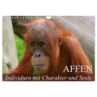 Calvendo Affen - Individuen mit Charakter und Seele (Wandkalender
