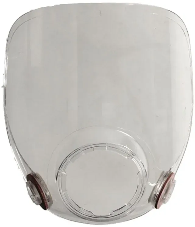 Masque de pulvérisation 3M 3M06898