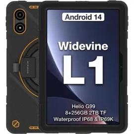 AGM P2 Active Rugged 4G 10,9" 8 GB RAM 256 GB Grau