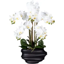 Kunstorchidee CREATIV GREEN "Phalaenopsis", weiß, H:75cm, Kunststoff, Kunstpflanzen, in Design-Kunststoffvase