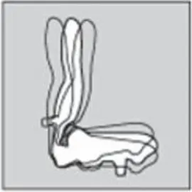 TOPSTAR Trend SY 10 ohne Armlehnen schwarz gemustert