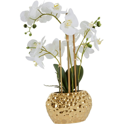 Kunstpflanze Orchidee Orchidee, Leonique, Höhe 55 cm, Kunstorchidee, im Topf weiß 20 cm x 55 cm x 11 cm