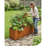 Bellissa Hochbeet panello Corten 116 x 44 x 50 cm edelrost
