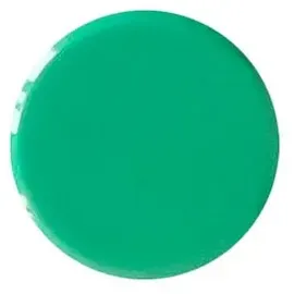 ALLboards Magnet grün, Kunststoff Ø 2,0 x 0,6 cm, 10 St.