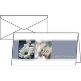 Sigel Trauerkarten Anteilnahme, DIN lang, 10er Set mit Umschlag ohne Text, ideal zum Bedrucken